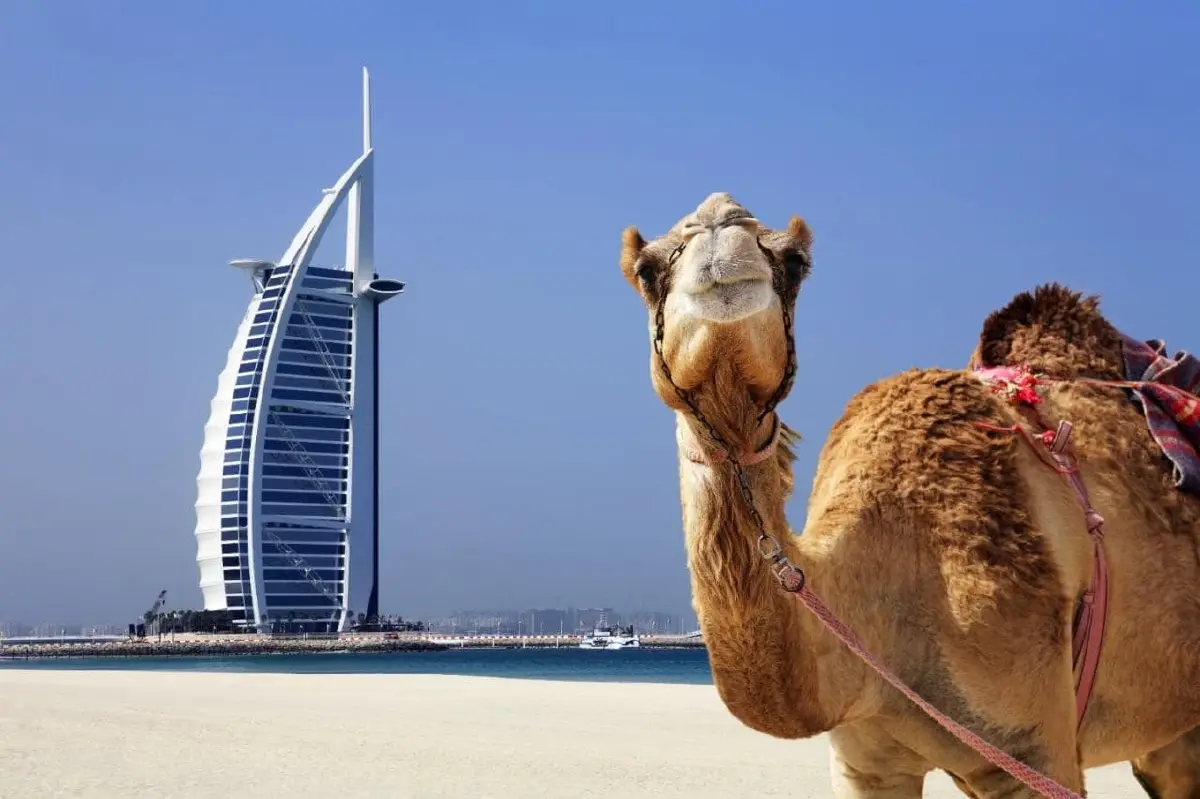 มหาเศรษฐีทั่วโลก พร้อมใจย้ายประเทศ จ่อซบ ยูเออี (UAE) ยอดพุ่ง 208%