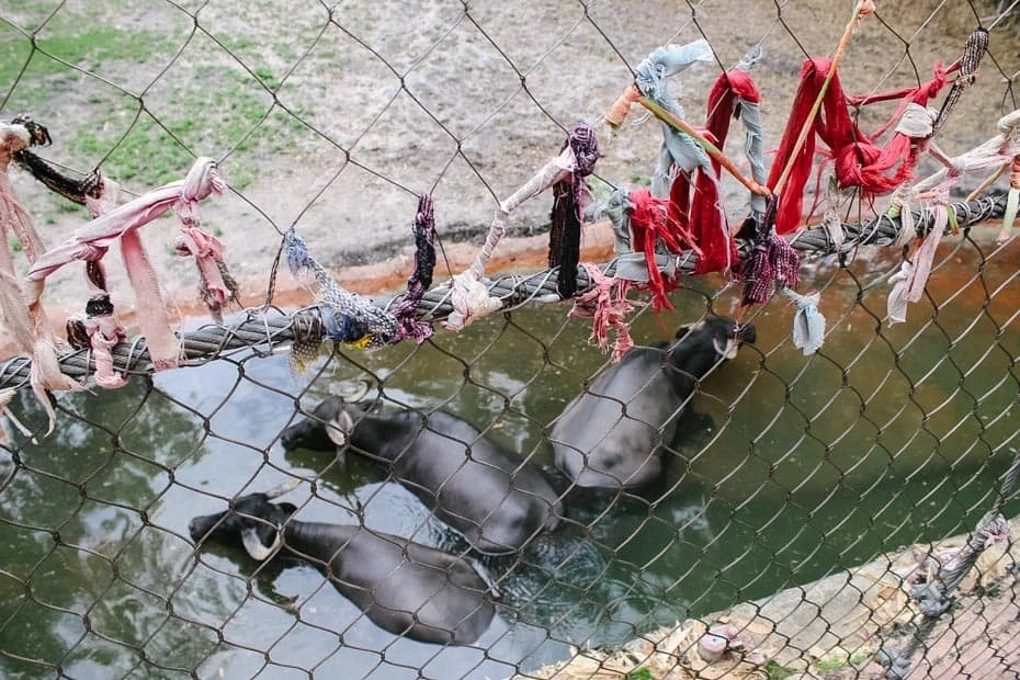 ภาพ : resortsgal