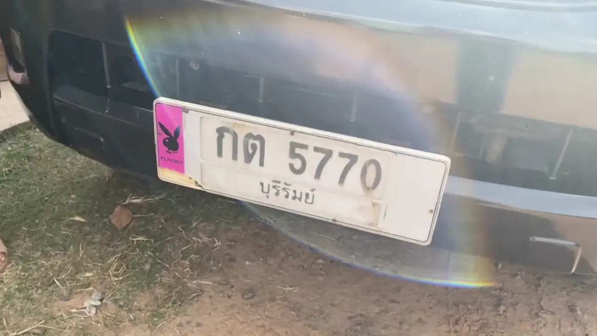 ถูกถ้วนหน้าทั้งตำบลงูแผ่แม่เบี้ยบนป้ายทะเบียนรถ เจ้าตัวดีใจจะทำบุญ