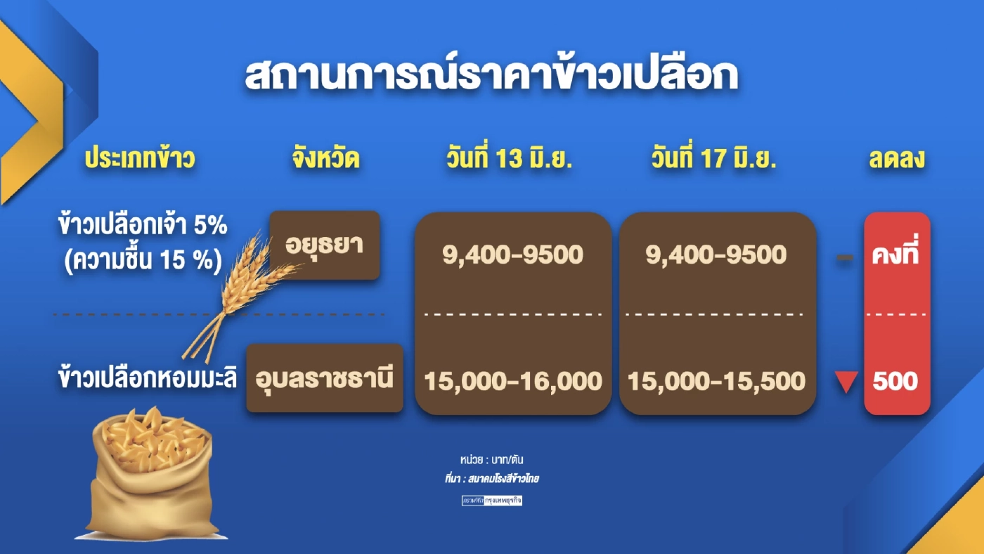 'ราคาข้าว' ปรับตัวดิ่งลงรุนแรงหลังผลผลิตล้นโลก