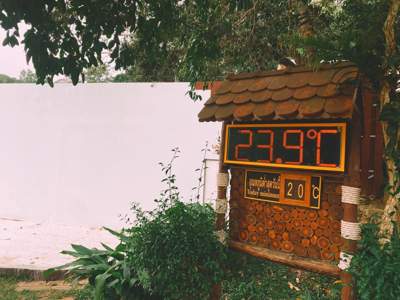 ช้างป่ายั่ว ๆ จ้า เพจอุทยานแห่งชาติเขาใหญ่ โชว์ภาพฝูงช้างกินดินโป่งอวด นทท.