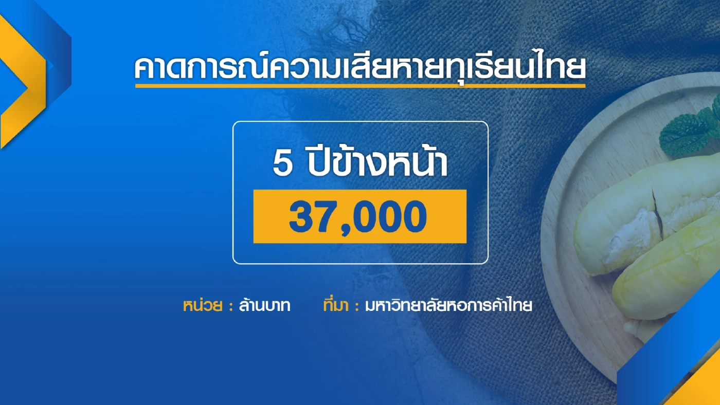 ม.หอการค้าไทยหวั่น 5 ปี ส่งออก 'ทุเรียน' ไทยลดลง