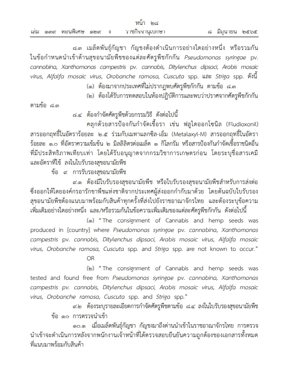 เช็กเลย"ราชกิจจาฯประกาศเงื่อนไขนำเข้า เมล็ดพันธุ์กัญชา-กัญชง กระท่อมแล้ว