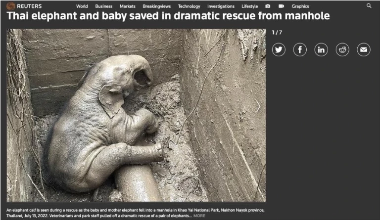 สื่อต่างชาติให้ความสนใจภารกิจช่วยช้างป่าแม่ลูกจากท่อน้ำ