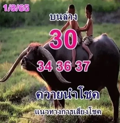 มัดรวมเลขเด็ดเลขดังทั่วไทย รวมให้คอหวยตรงนี้ หวยงวด 1 ส.ค. 65