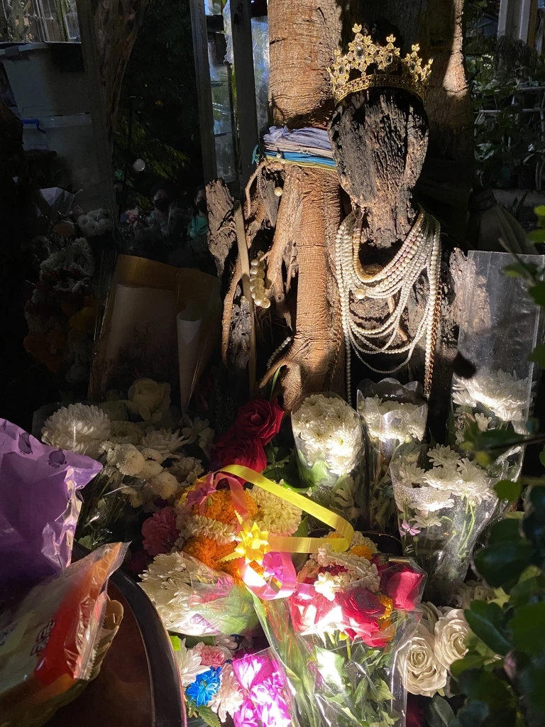 คอหวยแห่ขอโชคพี่สาว ตุ๊กตาไม้ ใต้ต้นโพธิ์หน้าร้านอาหารริมถนนเลียบด่วน