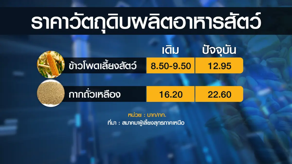 ผู้เลี้ยงหมูหนุนเกษตรฯจ่ายเงิน 'เยียวยา' 753 ล้าน