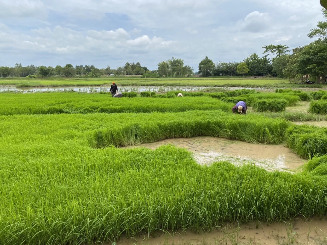 "อุโมงค์ลำพะยังภูมิพัฒน์" คนอยู่คู่กับน้ำ ครอบครัวเกษตรเป็นสุข