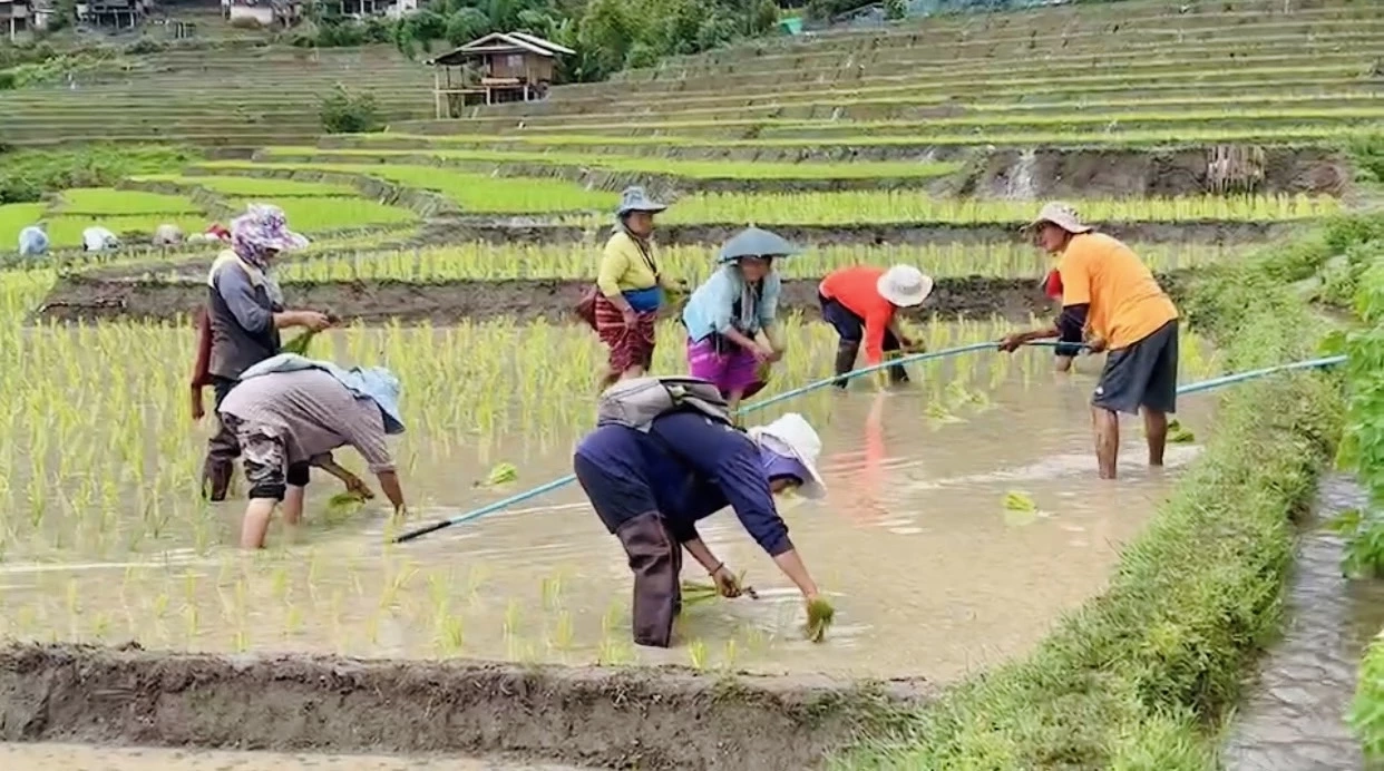 ชวนชมนาขั้นบันได360องศาสวยที่สุดในประเทศไทย