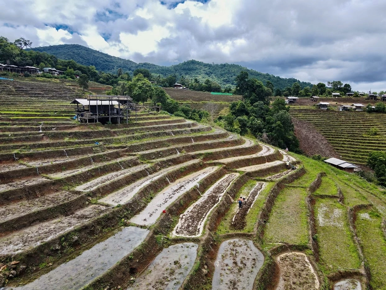 ชวนชมนาขั้นบันได360องศาสวยที่สุดในประเทศไทย