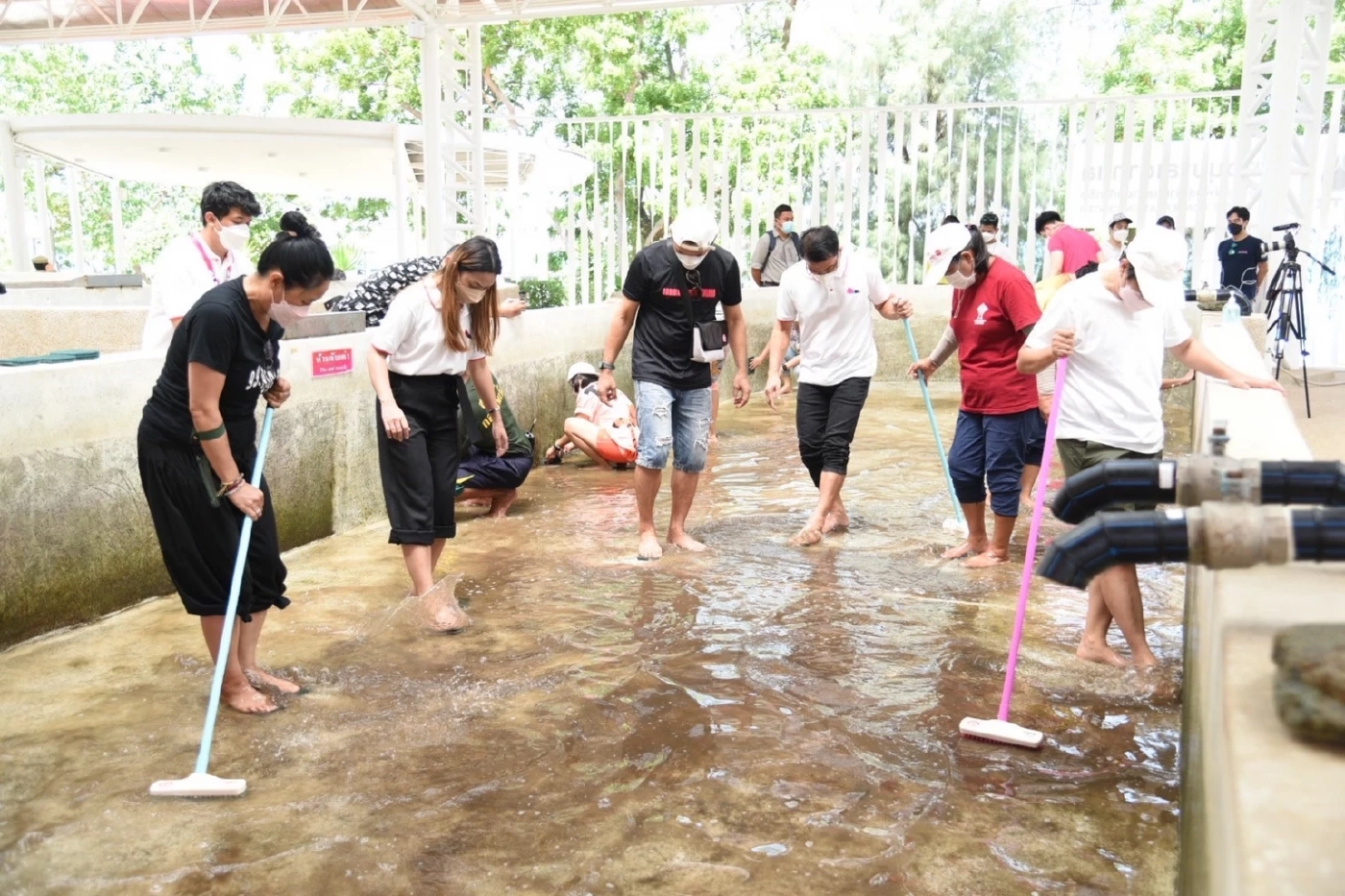 เมืองไทยประกันชีวิต เดินหน้าอนุรักษ์สิ่งแวดล้อมอย่างยั่งยืน สนับสนุนกิจกรรม “อนุรักษ์พันธุ์เต่าทะเล”