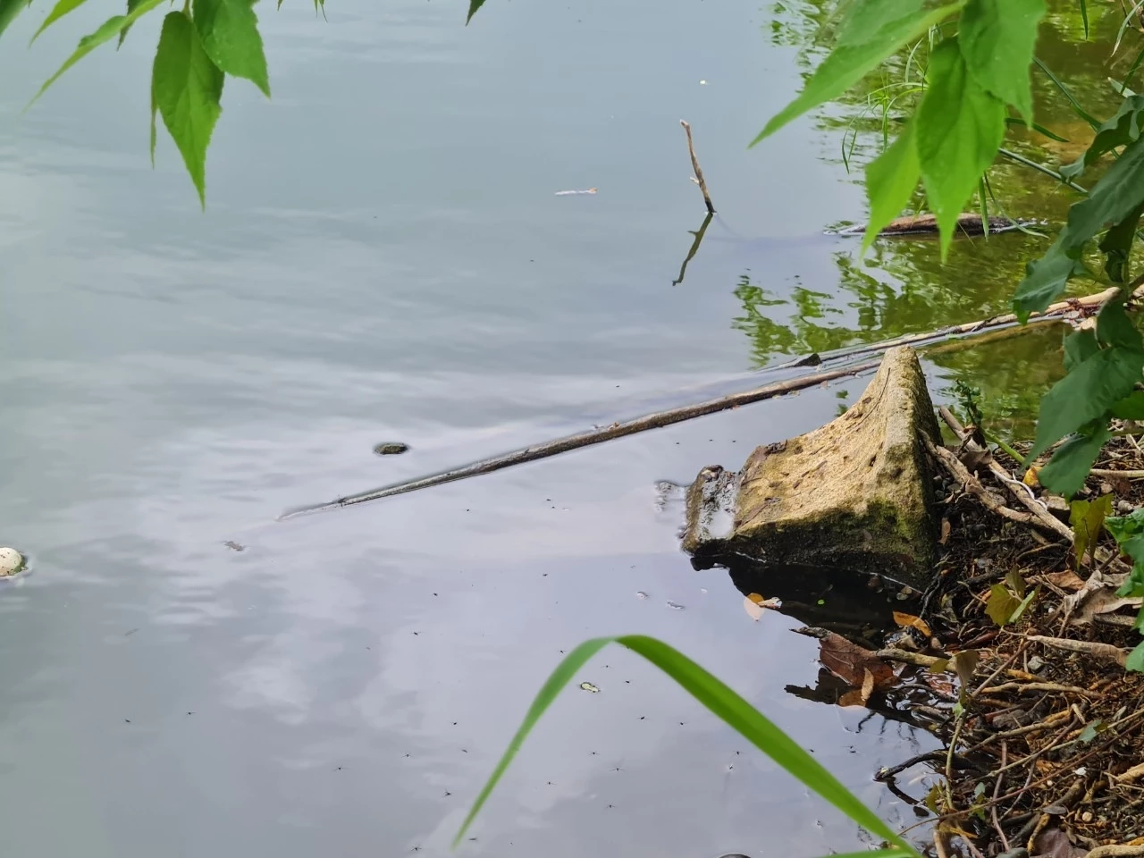 หวิดจมน้ำดับ!พ่อแม่ตกปลาปล่อยลูกเล่นน้ำลำพัง ชาวบ้านช่วยทัน