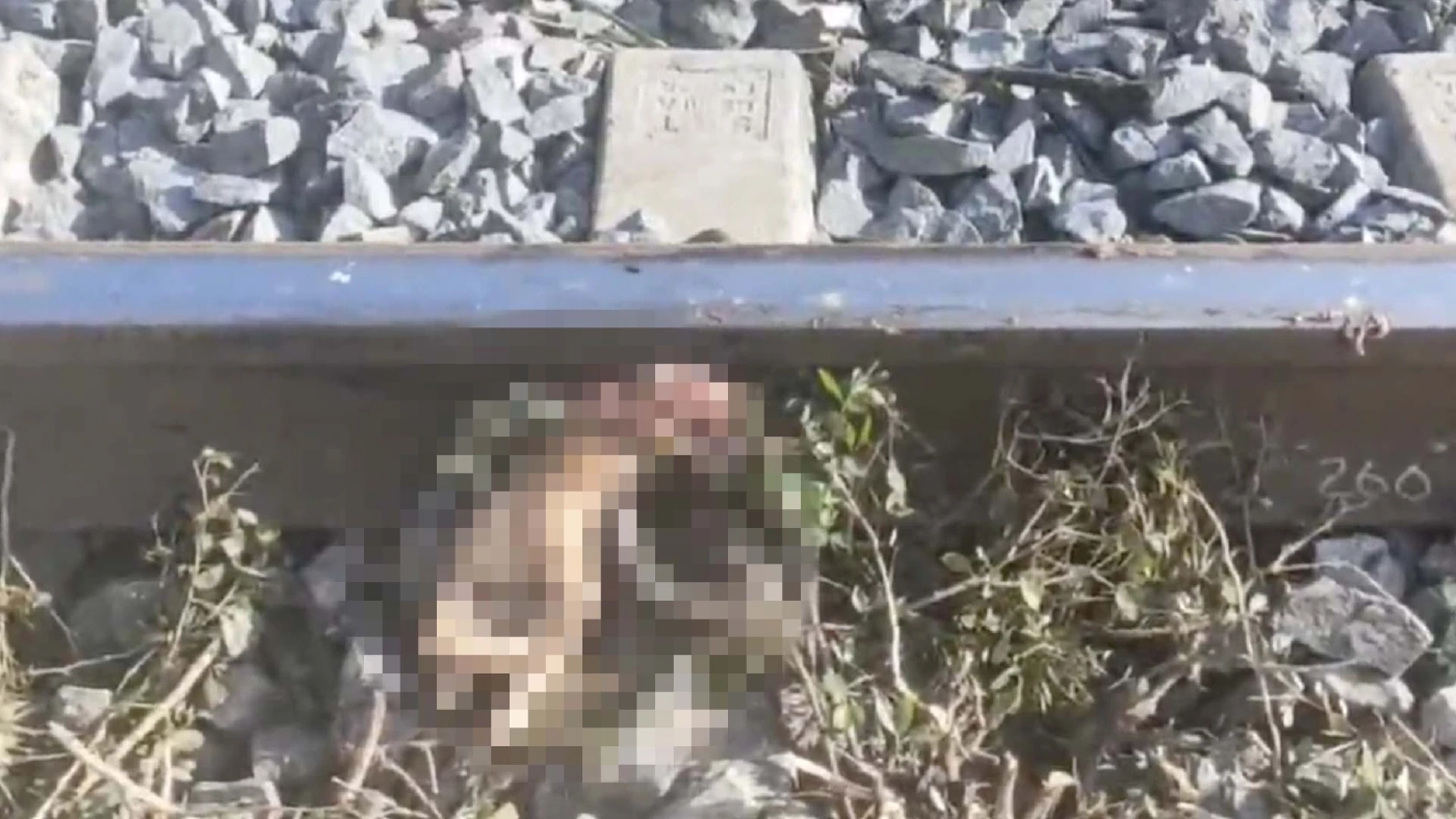 สลดแต่เช้า !! พนักงานตัดหญ้าเข้าไปช่วยเพื่อนยกรถข้ามทางรถไฟ สุดท้ายโดนขี้ร่างแหลกทั้งคู่ 2 ศพ