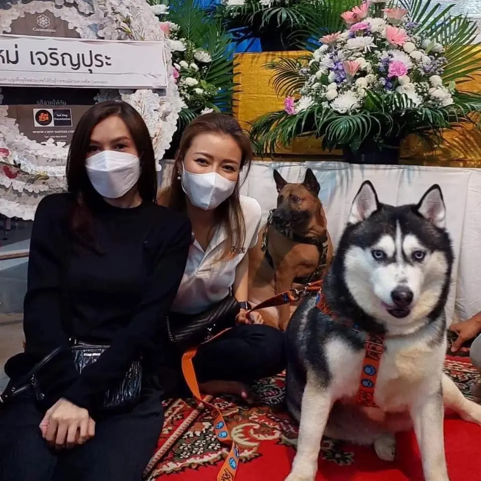 เศร้า ! พาหมาสุดรัก “ซันนี่ ยูโฟร์” ไปลาครั้งสุดท้าย ประกาศหาคนรับเลี้ยงต่อ