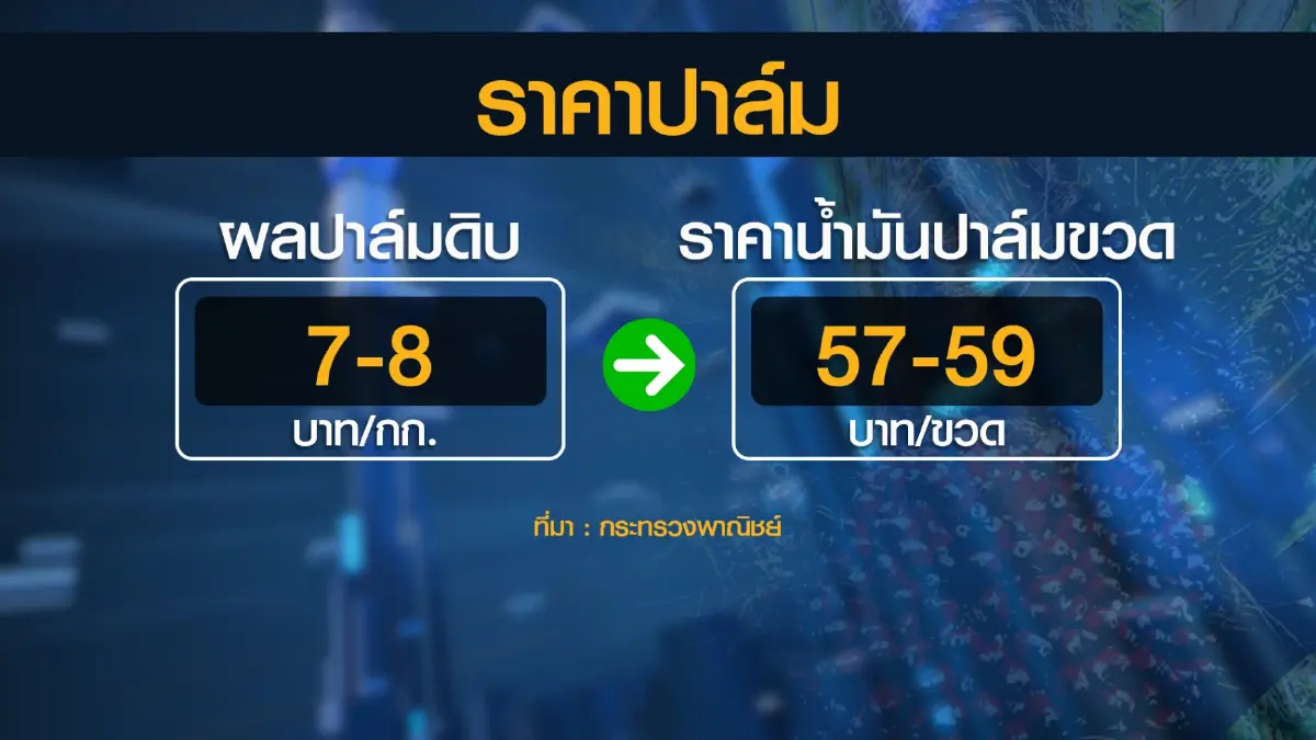 ร้านค้าโอดราคาน้ำมันปาล์มยังแพง จี้เร่งลดราคา