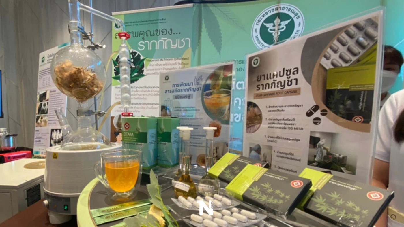 ชมรมเภสัชชนบท แถลงการณ์ จี้รัฐหยุดใช้กัญชาเสรีเกินขอบเขตทางการแพทย์