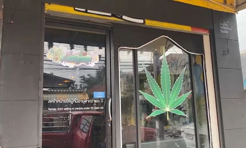 เฝ้าระวังกัญชาในกลุ่มเยาวชน ป้องกันการยกระดับพฤติกรรมไปเสพยาเสพติด