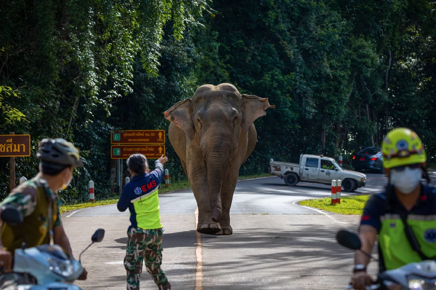 พลายเดี่ยวหลับโฉมใหม่ไร้งา