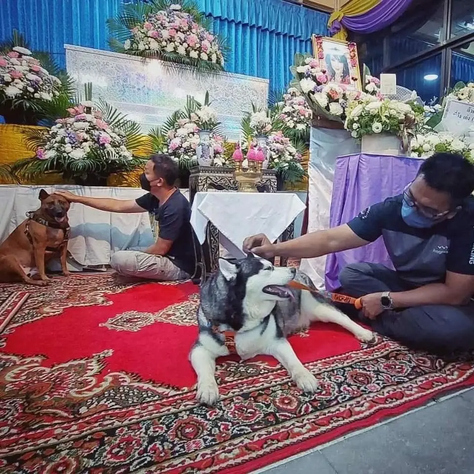 เศร้า ! พาหมาสุดรัก “ซันนี่ ยูโฟร์” ไปลาครั้งสุดท้าย ประกาศหาคนรับเลี้ยงต่อ