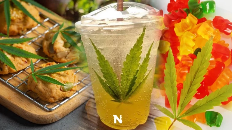 ทางการมาเลเซีย วอน นทท. อย่าดื่มกินอาหารที่มีส่วนผสมกัญชาขณะเที่ยวไทย