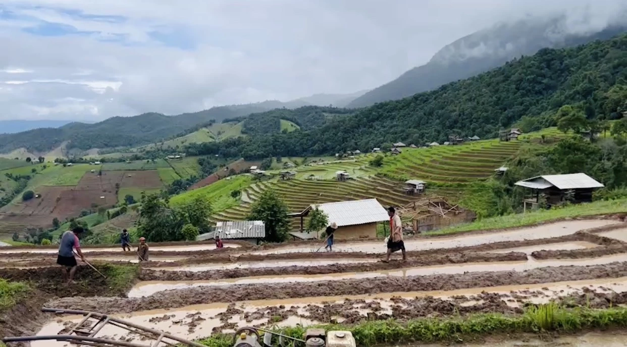 ชวนชมนาขั้นบันได360องศาสวยที่สุดในประเทศไทย