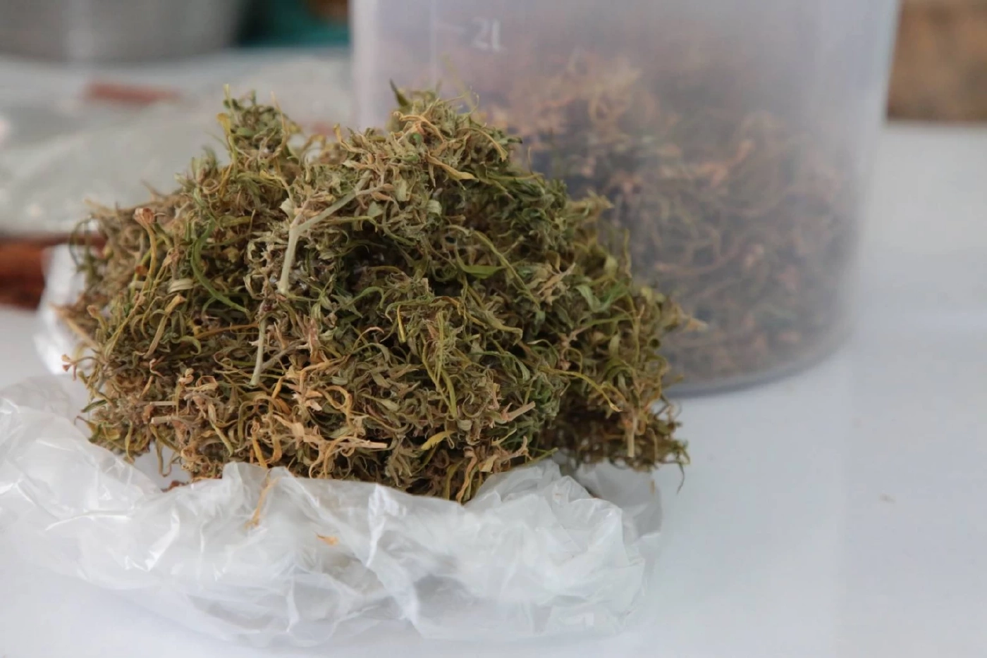 (แฟ้มภาพ) ผงะ! พ่อขาย "กัญชา" ส่วนลูกชายขนไปพี้กลางห้องเรียน แถมขู่ชกครู