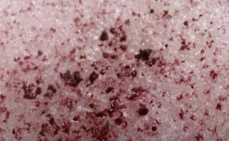 ทำความรู้จัก “เทือกเขาแอลป์” ก่อนธารน้ำแข็งถล่ม เคยเกิด "หิมะเลือด" มาแล้ว