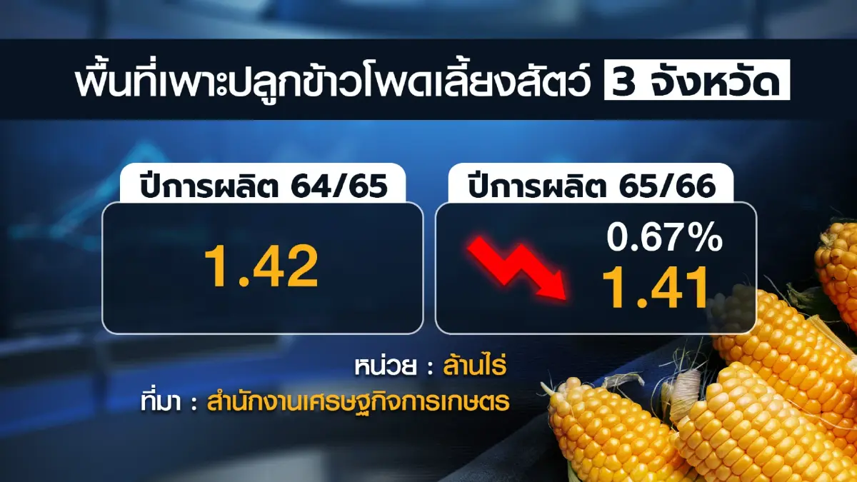 ครึ่งปีแรกข้าวโพดเลี้ยงสัตว์ราคาพุ่ง 9.30 บาท/กก.