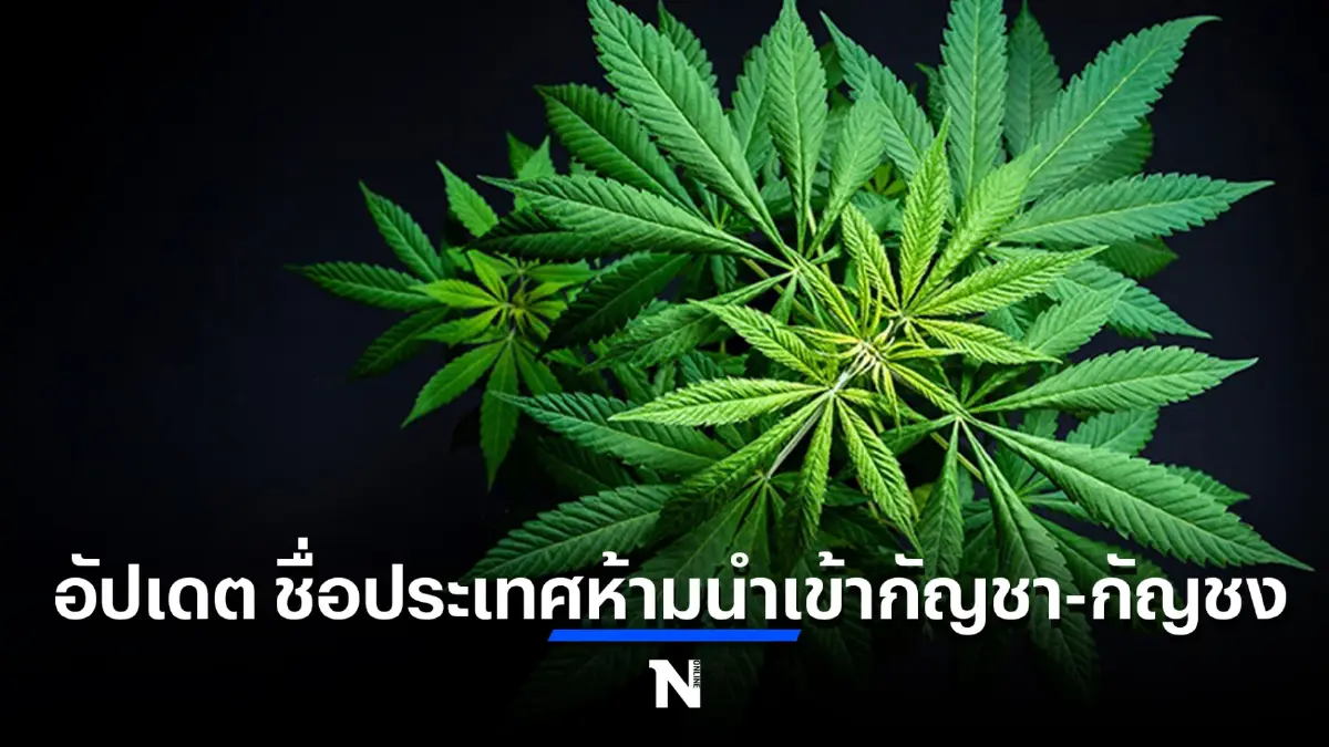 อัปเดตล่าสุด ชื่อประเทศห้ามนำเข้ากัญชากัญชง ทั้งจำทั้งปรับ โทษสูงสุดประหาร