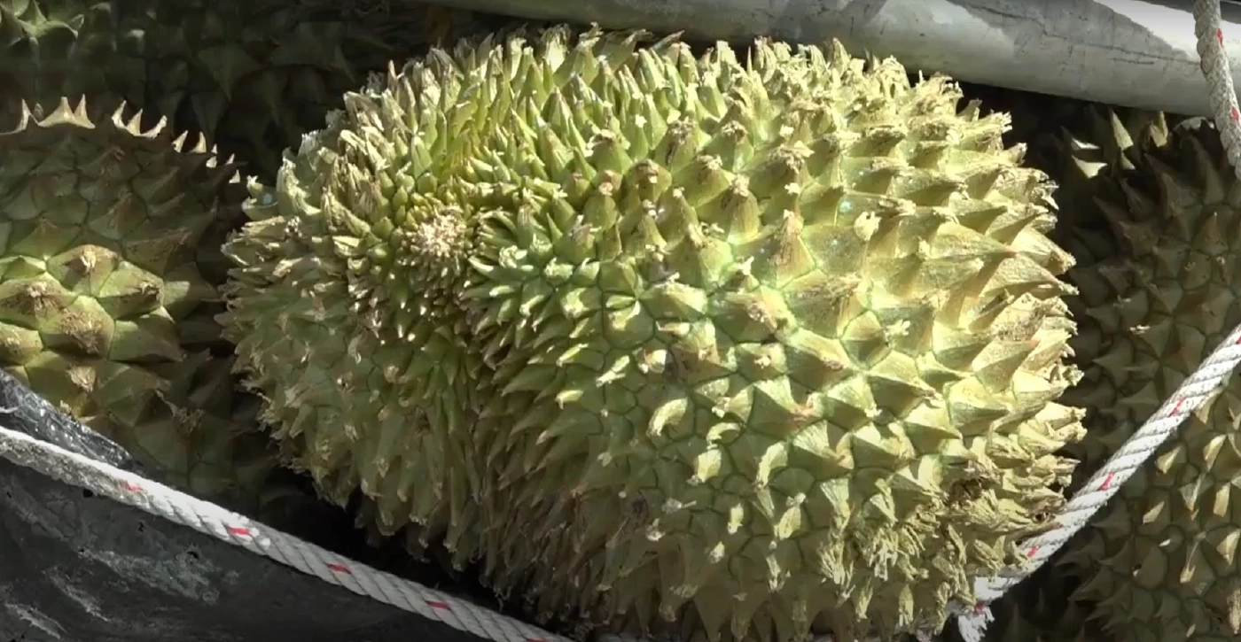 หักหลบรถอีกคัน! กระบะขน“หมอนทอง 3 ตัน”พลิกคว่ำหงายท้อง