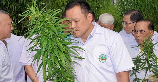 "อนุทิน" ยันไม่ถอยหลัง นำกัญชากลับสู่ยาเสพติด เหตุมีการลงทุนไปแล้ว
