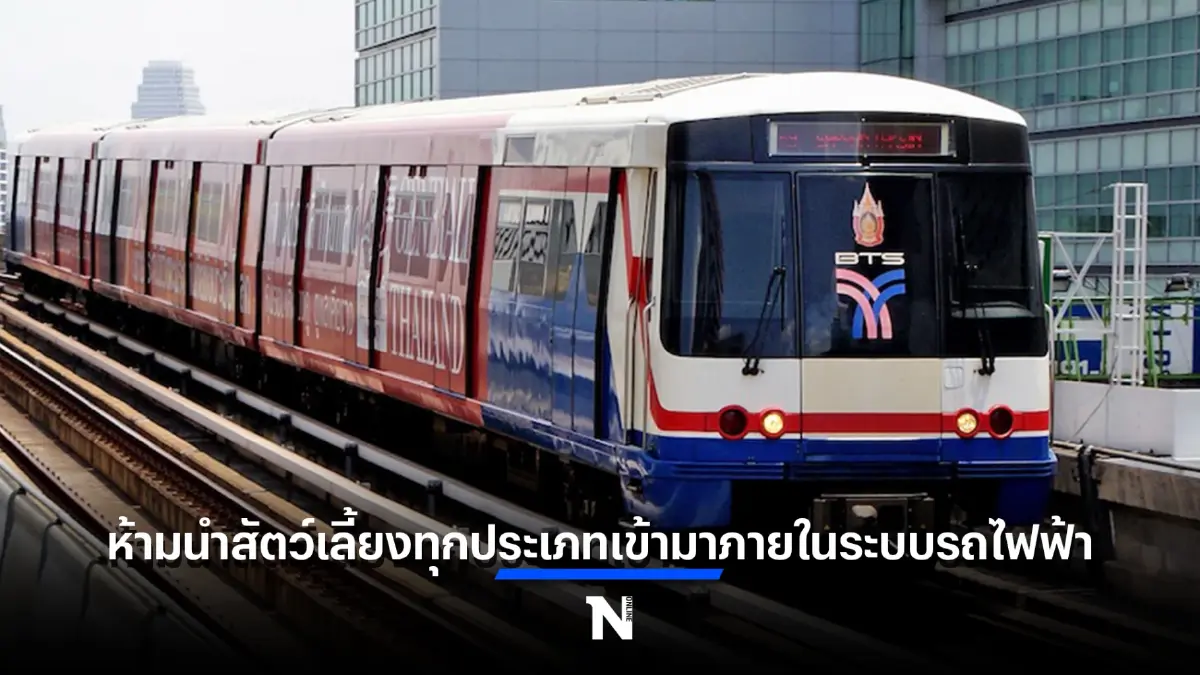 บีทีเอสออกประกาศ ห้ามนำสัตว์เลี้ยงทุกประเภทขึ้นรถไฟฟ้า ยกเว้นสุนัข 2 กลุ่ม