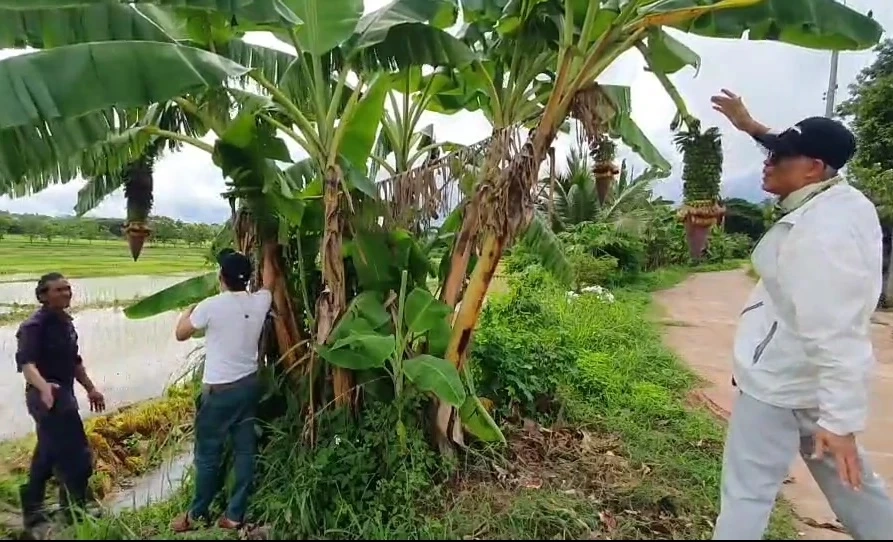 มัดรวมเลขเด็ดเลขดังทั่วไทย รวมให้คอหวยตรงนี้ หวยงวด 1 ส.ค. 65