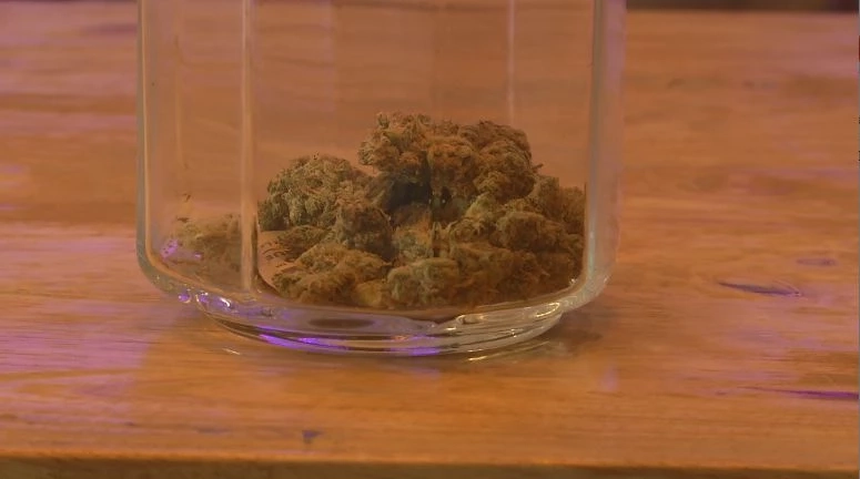 เฝ้าระวังกัญชาในกลุ่มเยาวชน ป้องกันการยกระดับพฤติกรรมไปเสพยาเสพติด