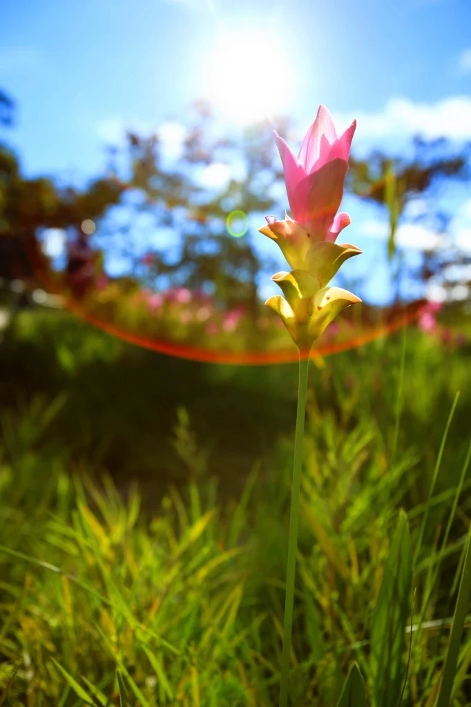 เปิดโปรแกรม หน้าฝนเที่ยวที่ไหนดี ชี้ 5 ที่ท่องเที่ยวสุดฟิน ควรไปสักครั้ง