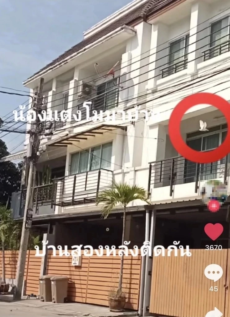 “มดดำ” เผยความลับบ้านแตงโม นิดา หลังมีข่าว "คุณแม่ภนิดา" เตรียมขายเก็งกำไร