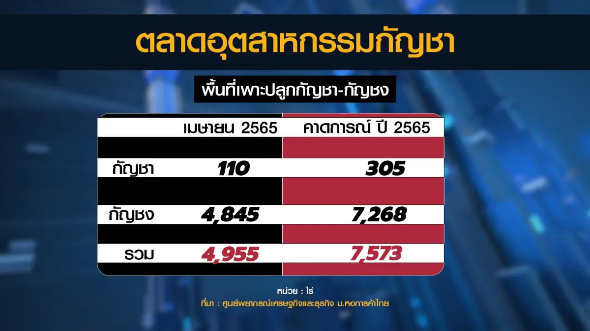 คาดตลาด 'กัญชา-กัญชง' พุ่งทะลุ 4.2 หมื่นล้าน