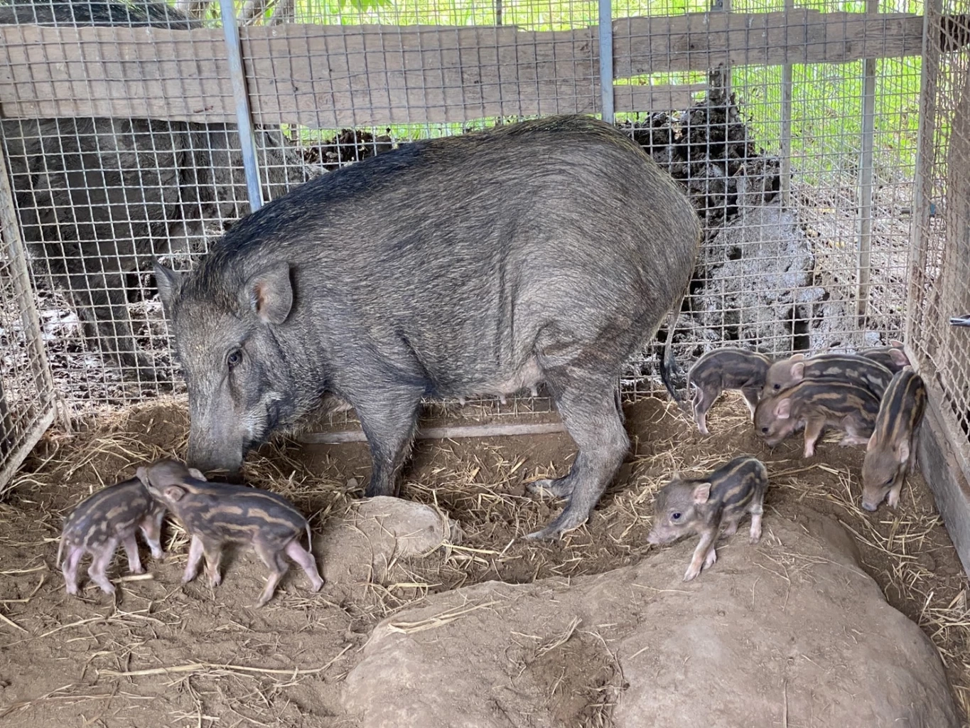 "อุโมงค์ลำพะยังภูมิพัฒน์" คนอยู่คู่กับน้ำ ครอบครัวเกษตรเป็นสุข