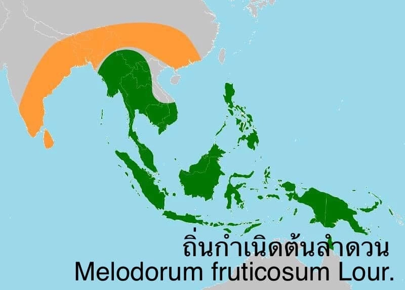 ถกสนั่นดราม่า “บุพเพสันนิวาส 2” ชาวเน็ตเขมรทวง “ดอกลำดวน” ดอกไม้ประจำชาติ