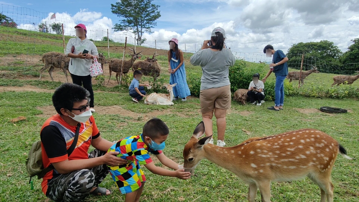 หลังคลายล็อกโควิด-19 การท่องเที่ยวพิษณุโลกกลับมาคึกคัก ช่วงหยุดยาว 5 วัน