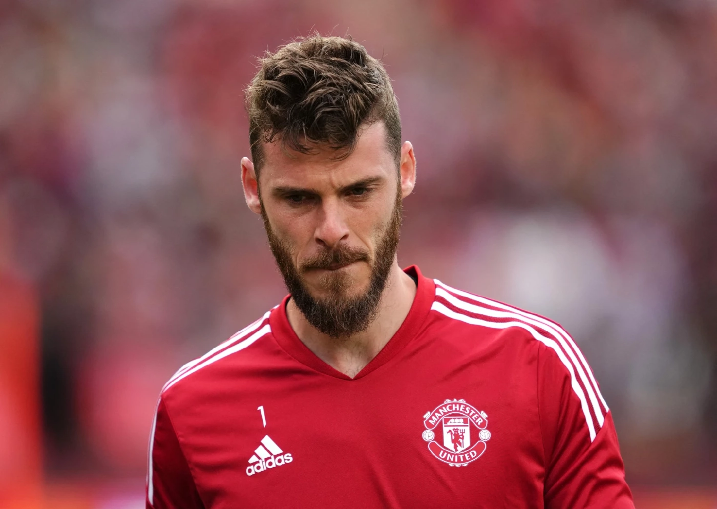 ประมวลภาพ แมนฯยูไนเต็ด ซ้อมเข้มก่อนดวลหงส์ศึกแดงเดือดพรุ่งนี้