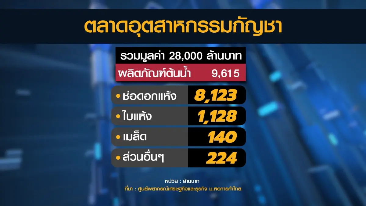 คาดตลาด 'กัญชา-กัญชง' พุ่งทะลุ 4.2 หมื่นล้าน