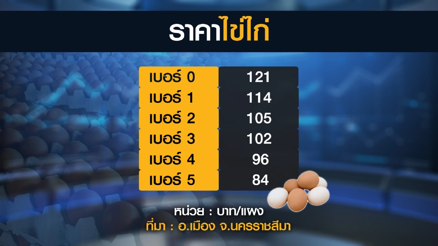 ก้มหน้าทน! ไข่ไก่ดาหน้าขยับราคา 5 บาท/แผง