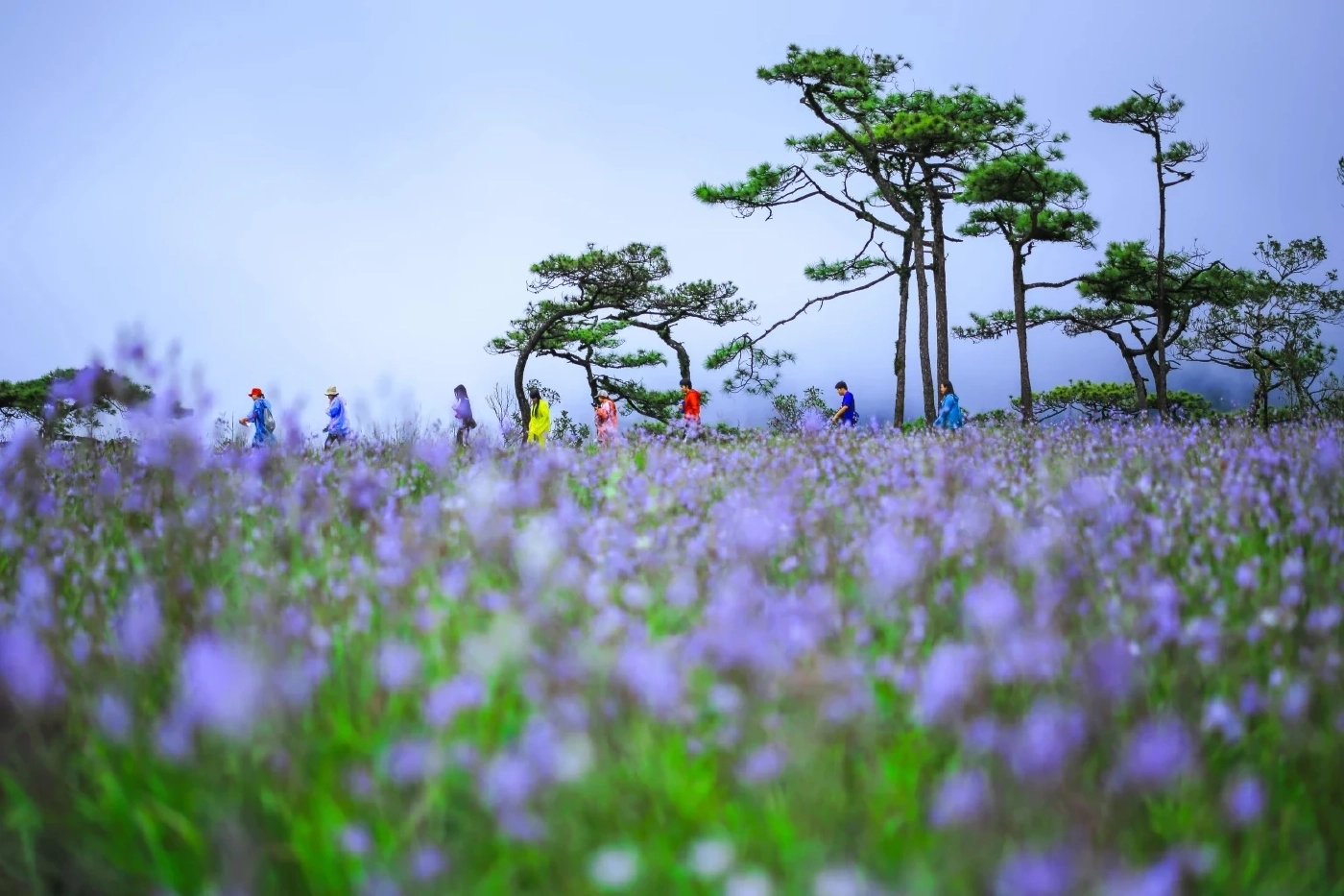 เปิดโปรแกรม หน้าฝนเที่ยวที่ไหนดี ชี้ 5 ที่ท่องเที่ยวสุดฟิน ควรไปสักครั้ง