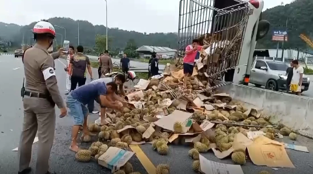 ระทึก ! รถบรรทุกตีลังกาชนเสาไฟฟ้า เทกระจาดทุเรียน 3 ตันเกลื่อนถนน