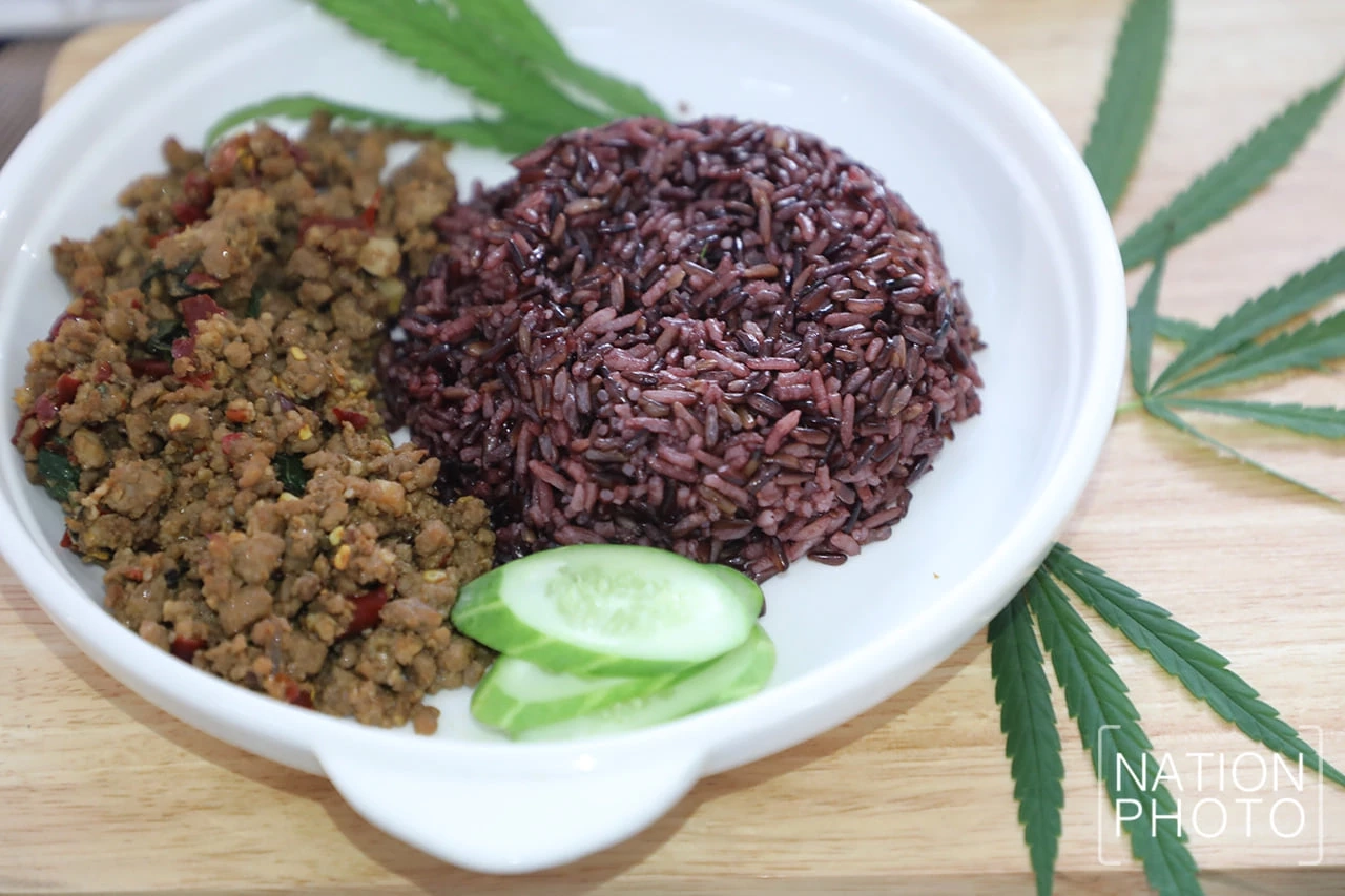 ชมรมเภสัชชนบท แถลงการณ์ จี้รัฐหยุดใช้กัญชาเสรีเกินขอบเขตทางการแพทย์