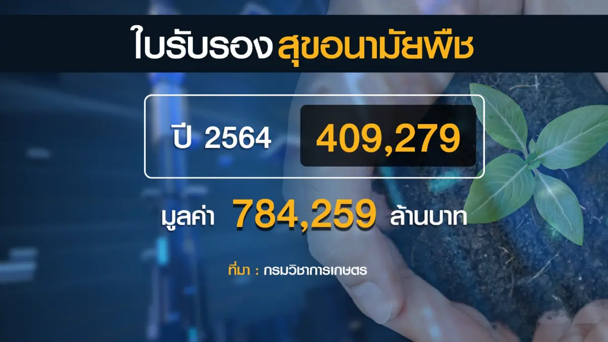เกษตรฯดึงระบบไอทีหนุนส่งออกผลไม้ไปจีน