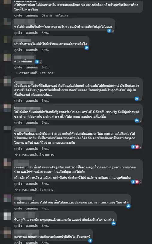 ตัวอย่างความคิดเห็นชาวเน็ต