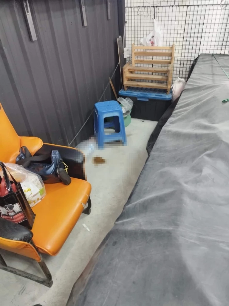 ปรี๊ดแตก หนุ่มโพสต์ล่าตัวสาวลักรองเท้าในร้าน แถมอึทิ้งไว้ให้ดูต่างหน้า