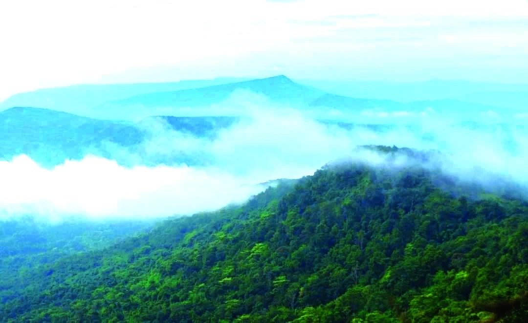 เปิดโปรแกรม หน้าฝนเที่ยวที่ไหนดี ชี้ 5 ที่ท่องเที่ยวสุดฟิน ควรไปสักครั้ง